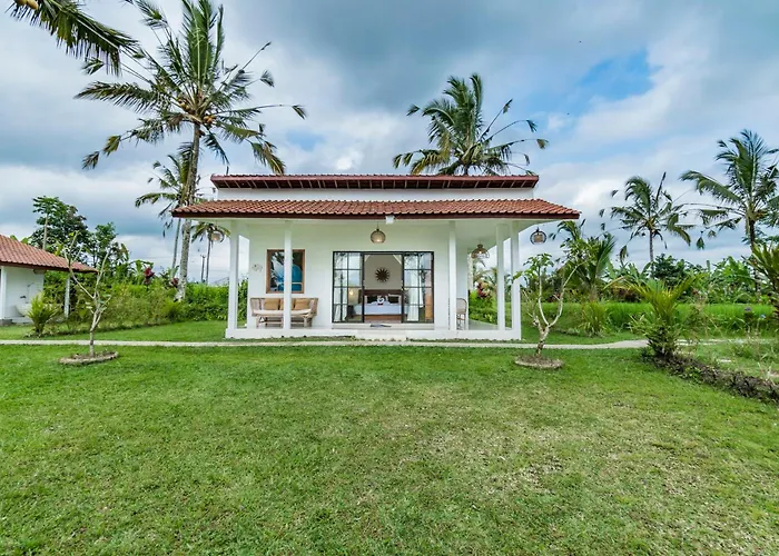 Ritual Ubud 4* パヤンガン