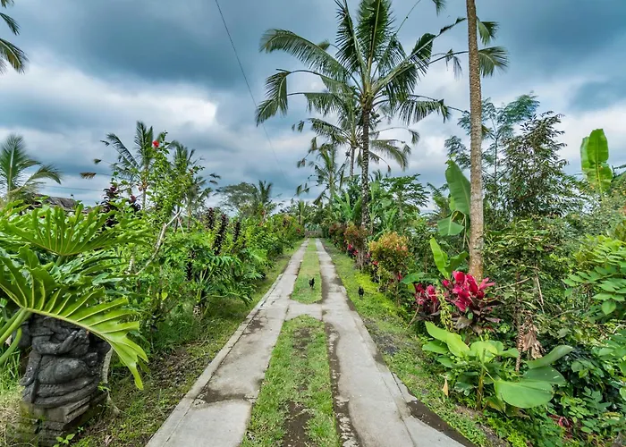 ゲストハウス Ritual Ubud 4*